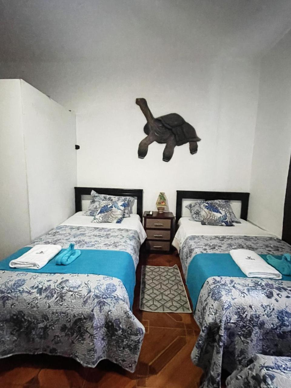 Suite Galarous Island 阿约拉港 外观 照片